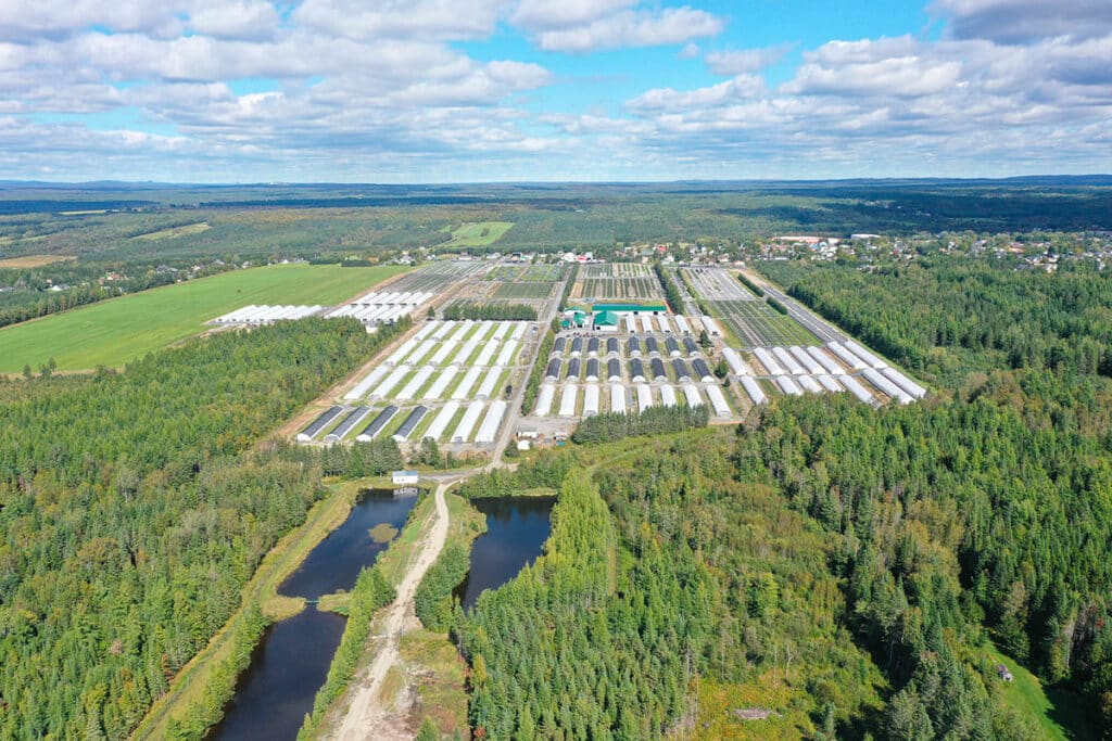 vue-aerienne-groupement-forestier-1