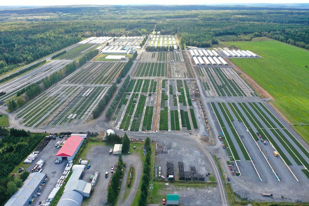 vue-aerienne-groupement-forestier-4
