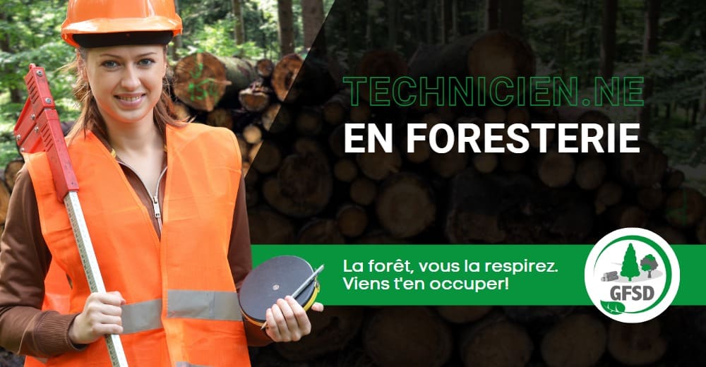 technicien-foresterie-emploi