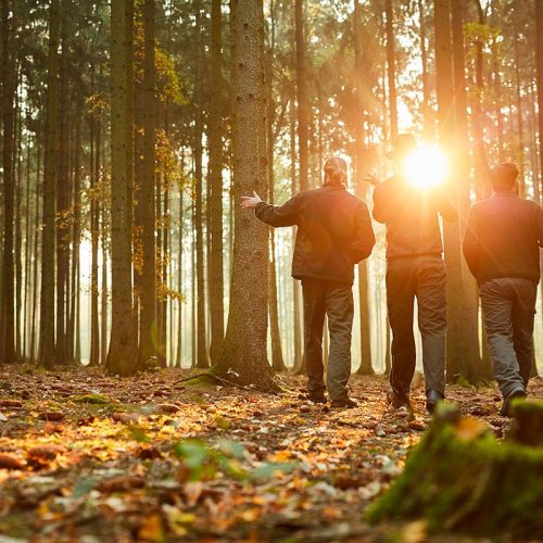 Trois-forestiers-dans-les-bois-lors-d’une-promenade-ou-d’une-inspection-le-soir-au-soleil